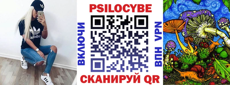 МЕГА ссылка  где можно купить наркотик  Рыльск  даркнет состав  Псилоцибиновые грибы Psilocybe 